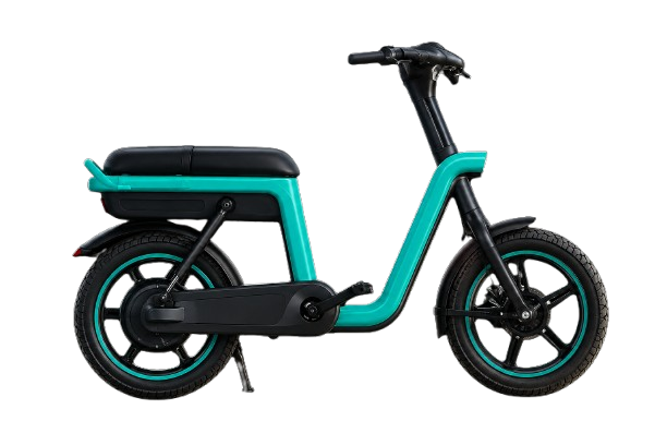 E-Bicycle Rental