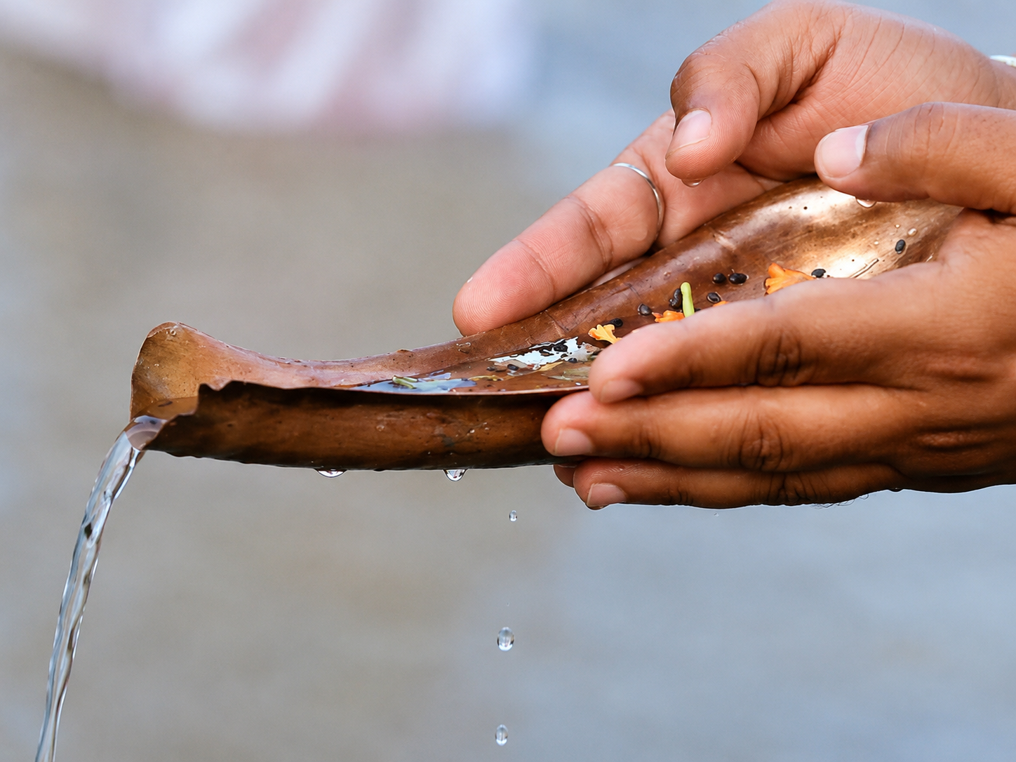 Varanasi Tarpan Puja